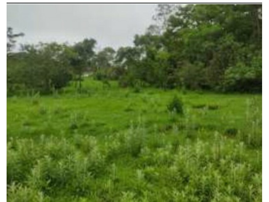 Imagem 2 do Leilão de Terreno - Chácaras Saia Velha - Cidade Ocidental/GO