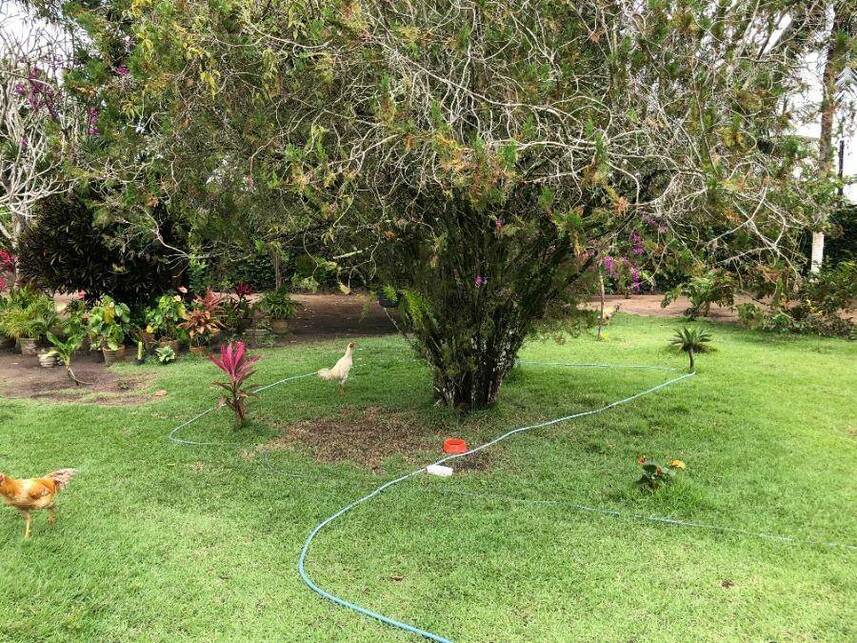 Imagem 2 do Leilão de Casa - Dom Constantino - Penedo/AL