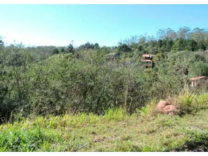 Imagem 14 do Leilão de Terreno - Aldeinha - Itapecerica da Serra/SP