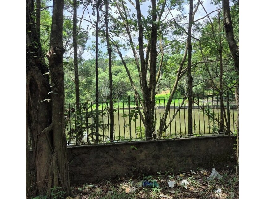 Imagem 8 do Leilão de Sítio - Recanto Vital Brasil - Mauá/SP