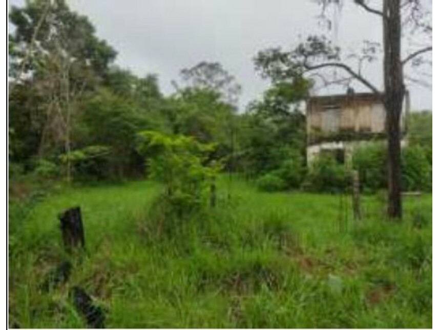 Imagem 7 do Leilão de Terreno - Chácaras Saia Velha - Cidade Ocidental/GO