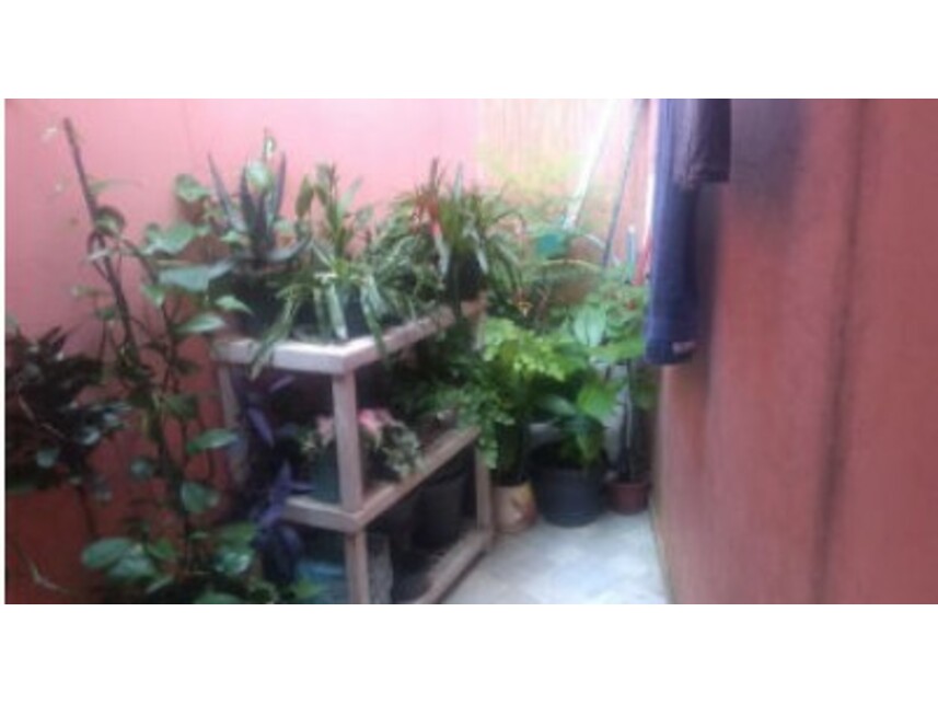 Imagem 9 do Leilão de Casa - Vila Romana - São Paulo/SP