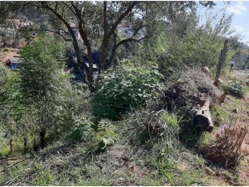 Imagem 3 do Leilão de Terreno - Jardim Vassouras II - Francisco Morato/SP