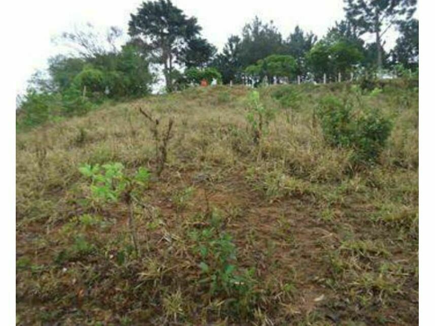 Imagem 3 do Imóvel a venda - Terreno - Grogotó - Barbacena/MG