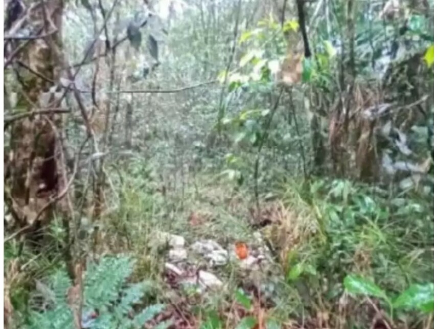 Imagem 3 do Leilão de Terreno - Macucutu - São Bernardo do Campo/SP