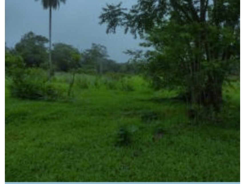 Imagem 16 do Leilão de Terreno - Chácaras Saia Velha - Cidade Ocidental/GO