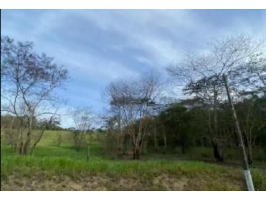Imagem 4 do Leilão de Terreno - Várzea das Moças - Niterói/RJ