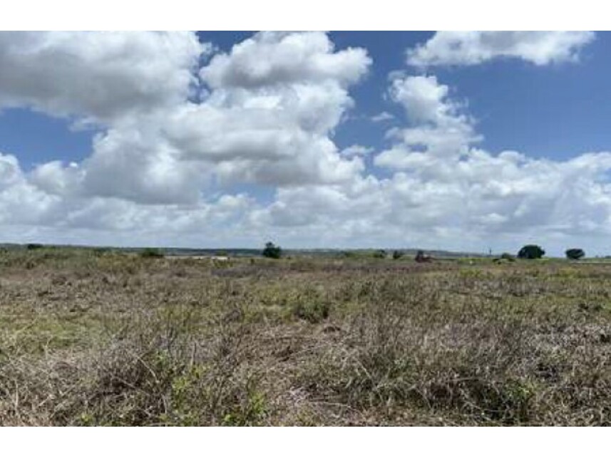 Imagem 4 do Leilão de Terreno - Expansão Urbana - Monte Alegre/RN