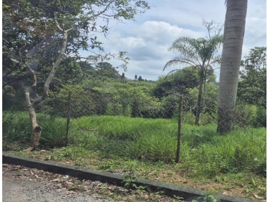Imagem 7 do Leilão de Sítio - Recanto Vital Brasil - Mauá/SP