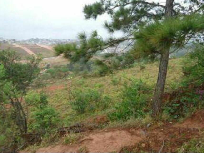 Imagem 7 do Imóvel a venda - Terreno - Grogotó - Barbacena/MG