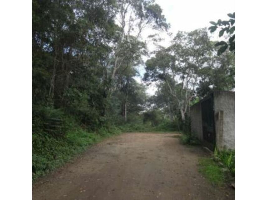 Imagem 2 do Leilão de Terreno - Colônia - São Paulo/SP