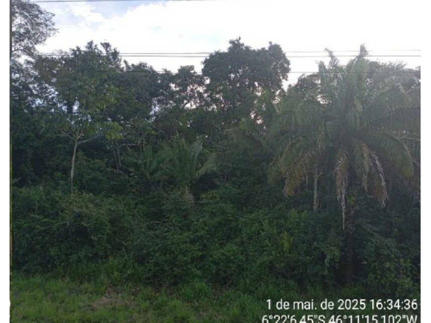 Imagem 8 do Leilão de Gleba Rural - Zona Rural - Formosa da Serra Negra/MA
