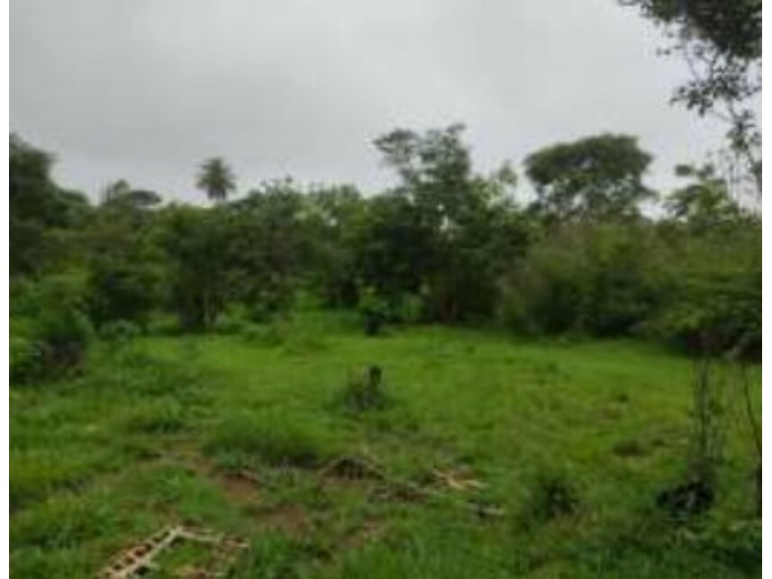 Imagem 13 do Leilão de Terreno - Chácaras Saia Velha - Cidade Ocidental/GO