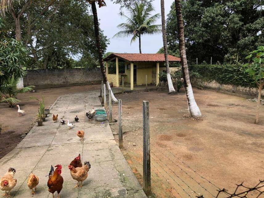 Imagem 17 do Leilão de Casa - Dom Constantino - Penedo/AL