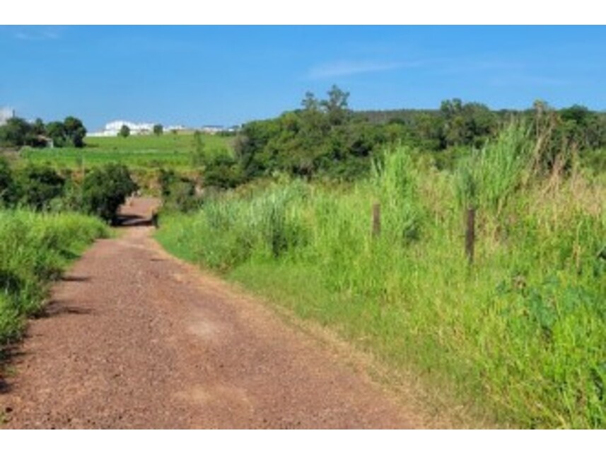 Imagem 4 do Leilão de Gleba Rural - Distrito de Graciosa - Paranavaí/PR
