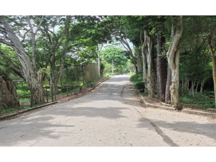Imagem 3 do Leilão de Sítio - Recanto Vital Brasil - Mauá/SP