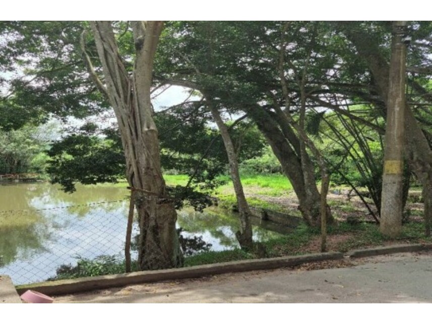 Imagem 4 do Leilão de Sítio - Recanto Vital Brasil - Mauá/SP