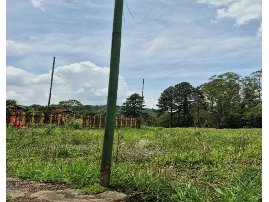 Imagem 15 do Leilão de Sítio - Recanto Vital Brasil - Mauá/SP