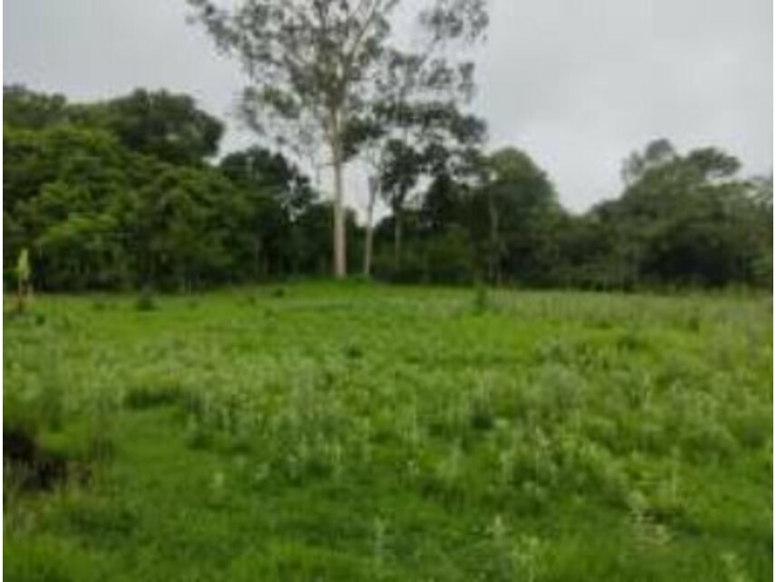 Imagem 4 do Leilão de Terreno - Chácaras Saia Velha - Cidade Ocidental/GO