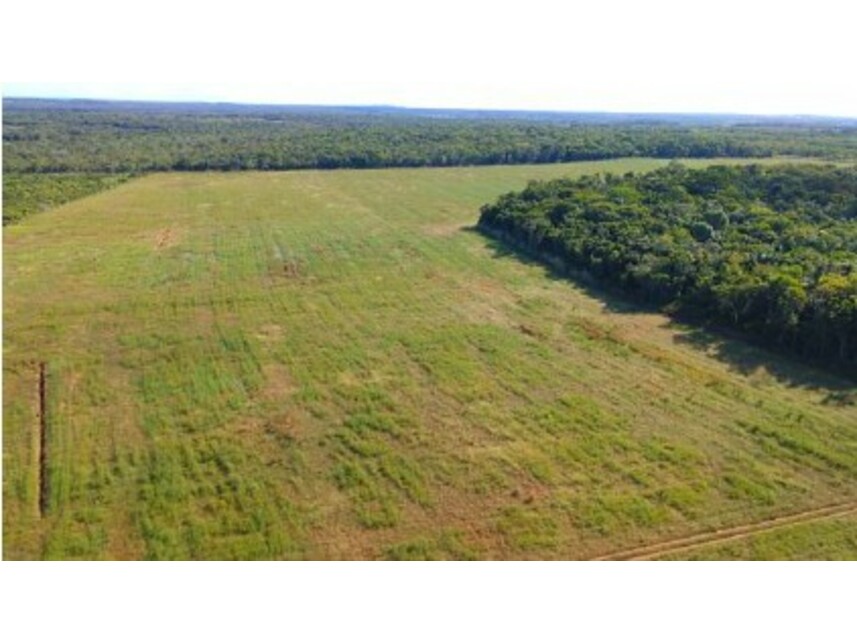 Imagem 3 do Leilão de Área Rural - Zona Rural - Conceição do Araguaia/PA