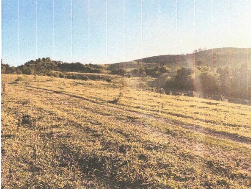Imagem 11 do Leilão de Área Rural - Brigadeiro Tobias - Sorocaba/SP