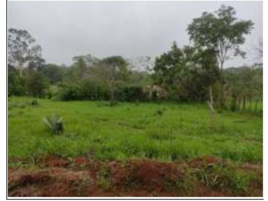 Imagem 11 do Leilão de Terreno - Chácaras Saia Velha - Cidade Ocidental/GO