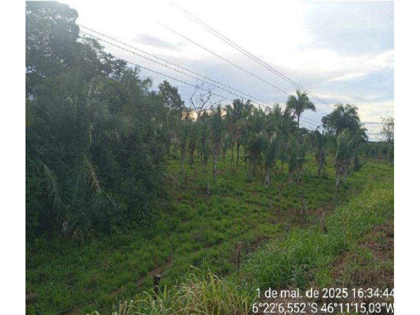 Imagem 3 do Leilão de Gleba Rural - Zona Rural - Formosa da Serra Negra/MA