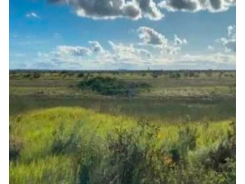 Imagem 5 do Leilão de Terreno - Belmonte - Belmonte/BA
