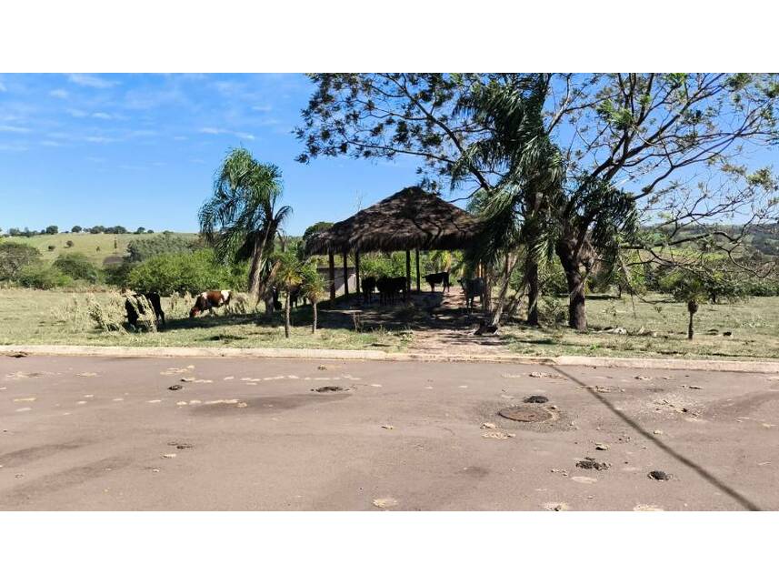 Imagem 8 do Leilão de Terreno - Parque Residencial Viva - Pérola/PR