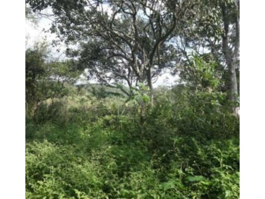 Imagem 3 do Leilão de Terreno - Colônia - São Paulo/SP