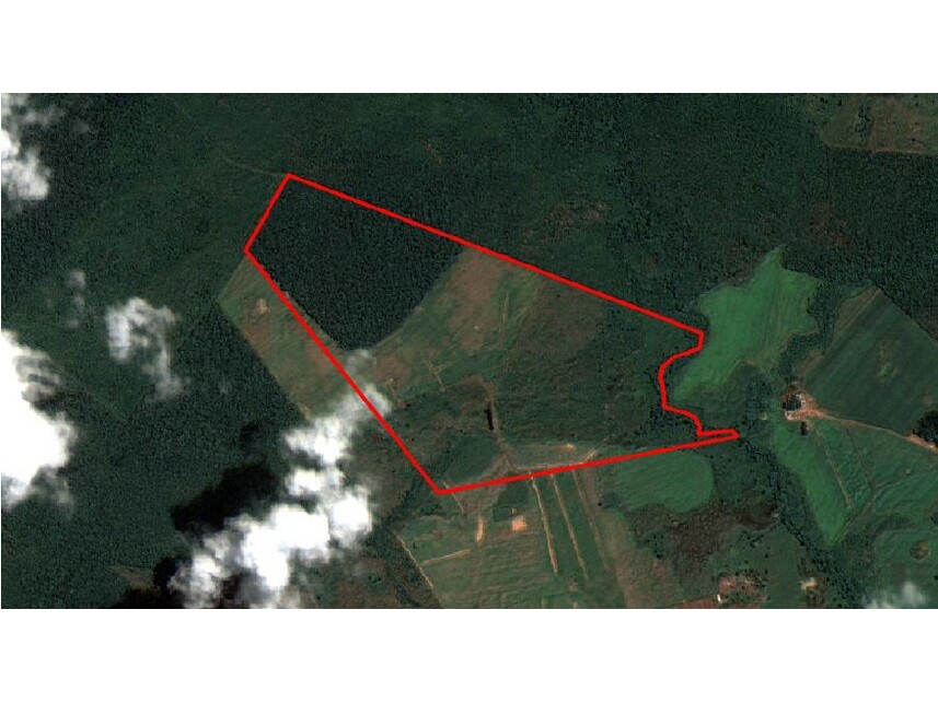 Imagem 7 do Leilão de Área Rural - Zona Rural - Conceição do Araguaia/PA
