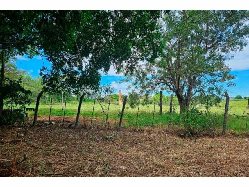 Imagem 2 do Leilão de Área Rural - Plano Alto - Aguatemi - Guaraçaí/SP