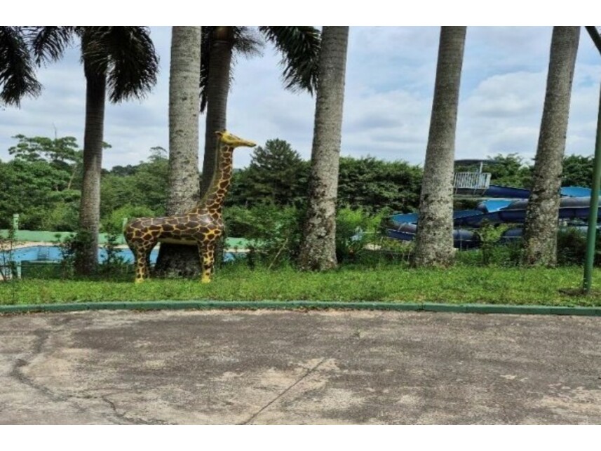 Imagem 12 do Leilão de Sítio - Recanto Vital Brasil - Mauá/SP