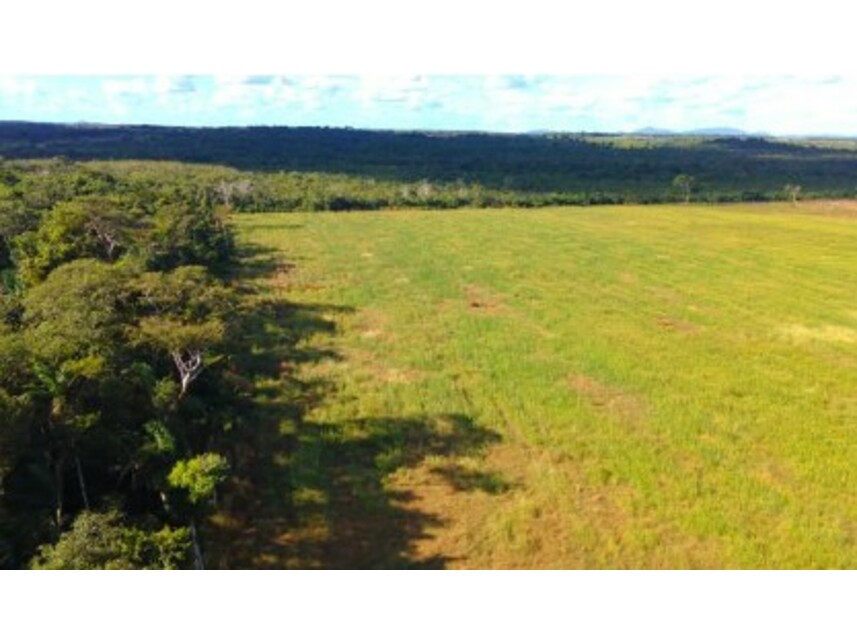 Imagem 4 do Leilão de Área Rural - Zona Rural - Conceição do Araguaia/PA