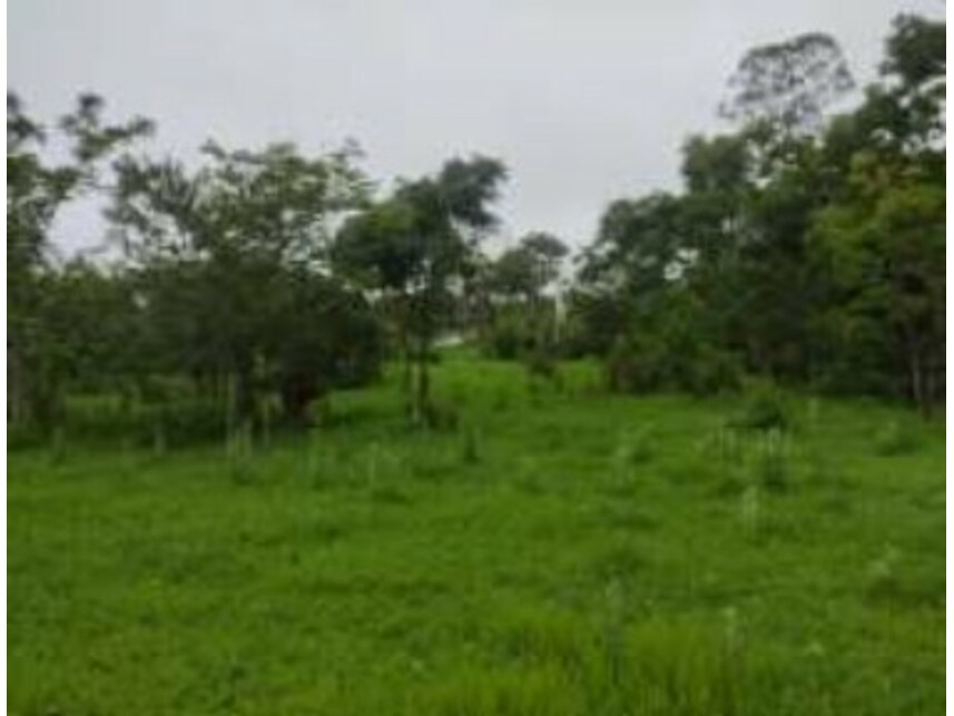 Imagem 3 do Leilão de Terreno - Chácaras Saia Velha - Cidade Ocidental/GO