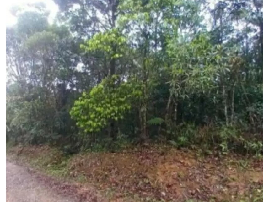 Imagem 5 do Leilão de Terreno - Macucutu - São Bernardo do Campo/SP