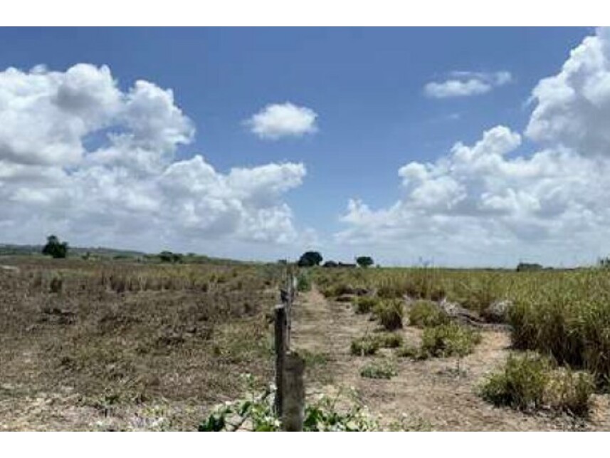 Imagem 7 do Leilão de Terreno - Expansão Urbana - Monte Alegre/RN