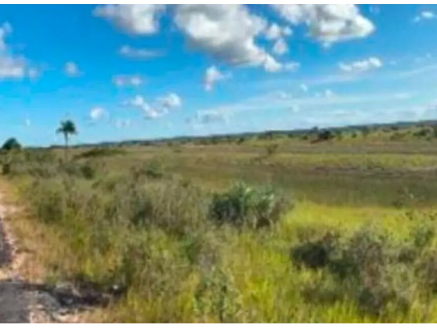 Imagem 4 do Leilão de Terreno - Belmonte - Belmonte/BA
