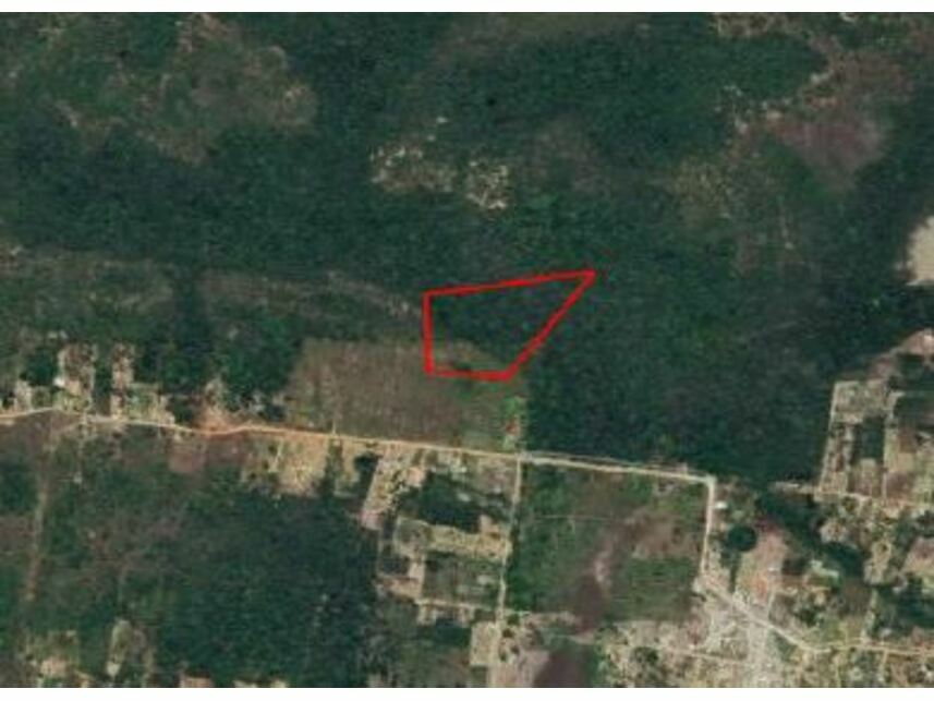 Imagem 1 do Leilão de Área Rural - Fazenda Boa Sorte - Entre Rios/BA