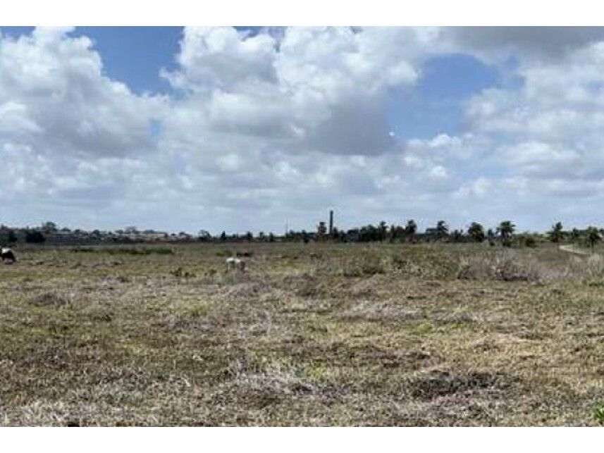 Imagem 10 do Leilão de Terreno - Expansão Urbana - Monte Alegre/RN