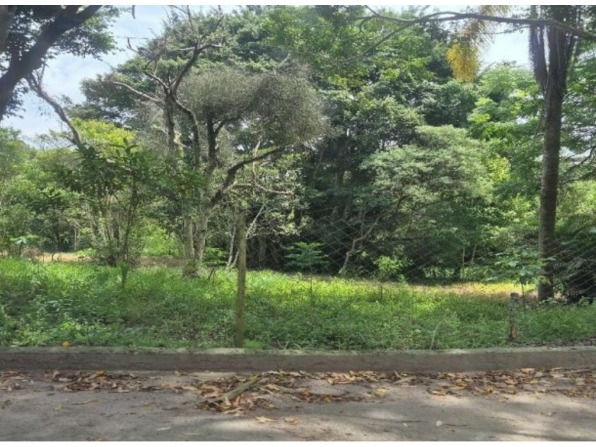 Imagem 14 do Leilão de Sítio - Recanto Vital Brasil - Mauá/SP