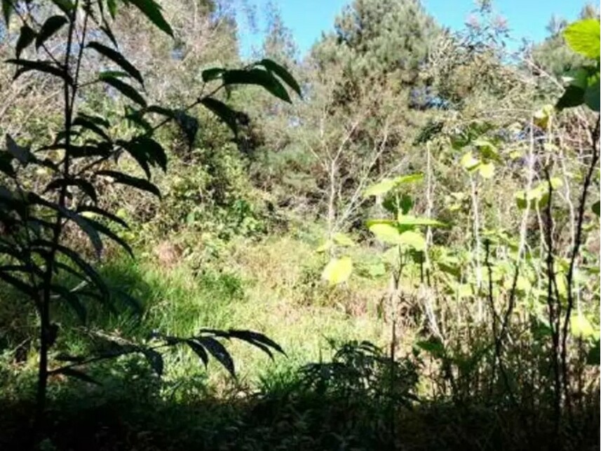 Imagem 11 do Leilão de Terreno - Aldeinha - Itapecerica da Serra/SP