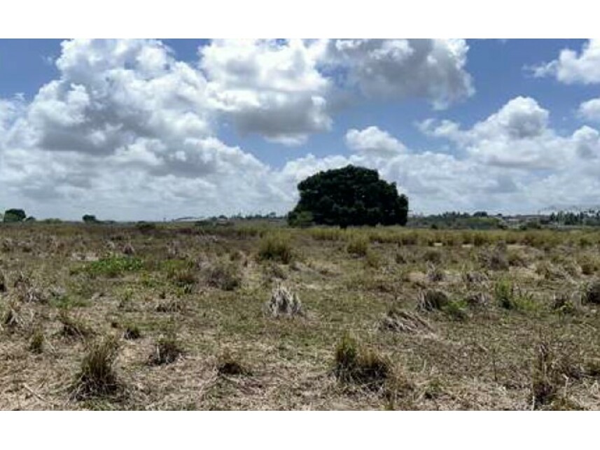 Imagem 14 do Leilão de Terreno - Expansão Urbana - Monte Alegre/RN
