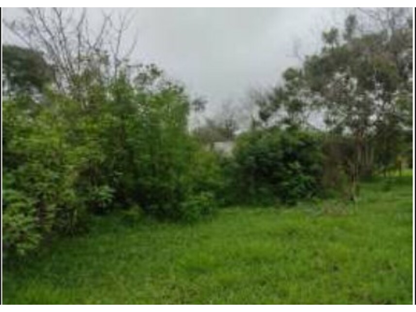 Imagem 14 do Leilão de Terreno - Chácaras Saia Velha - Cidade Ocidental/GO