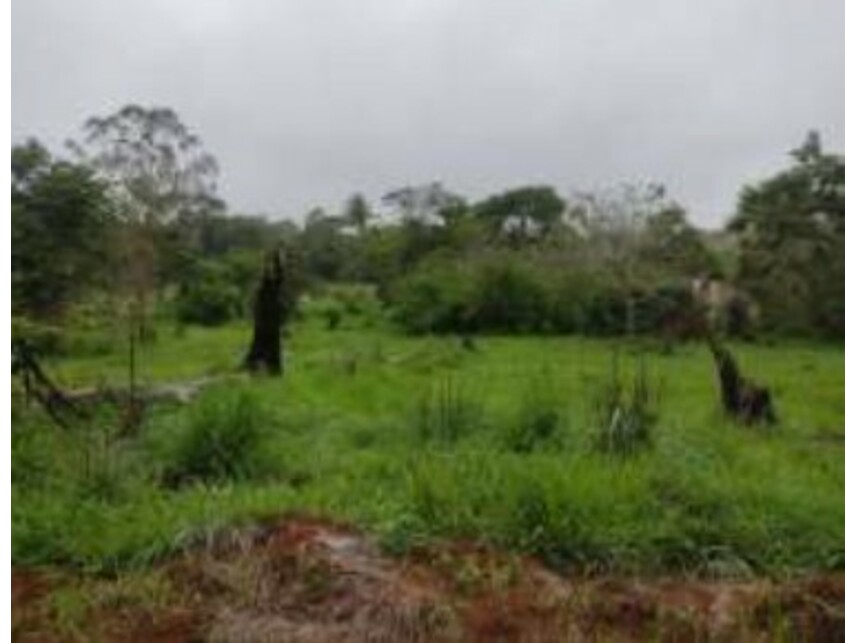 Imagem 10 do Leilão de Terreno - Chácaras Saia Velha - Cidade Ocidental/GO