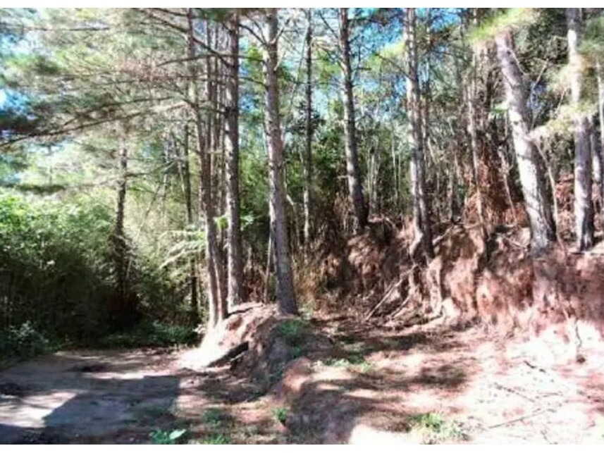 Imagem 12 do Leilão de Terreno - Aldeinha - Itapecerica da Serra/SP