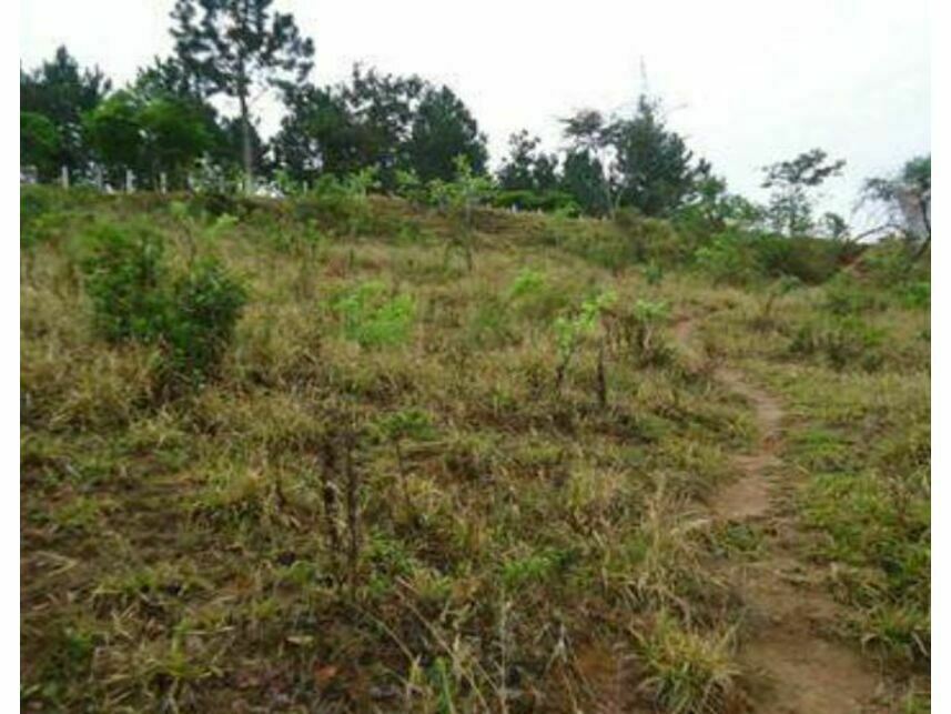 Imagem 1 do Imóvel a venda - Terreno - Grogotó - Barbacena/MG