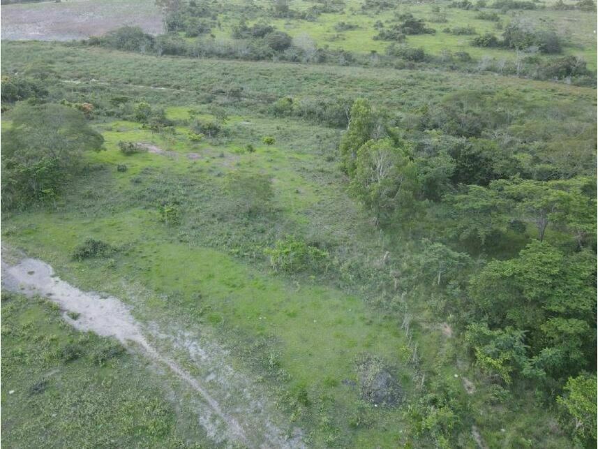 Imagem 6 do Imóvel a venda - Terrenos - Área Rural - Campos dos Goytacazes/RJ