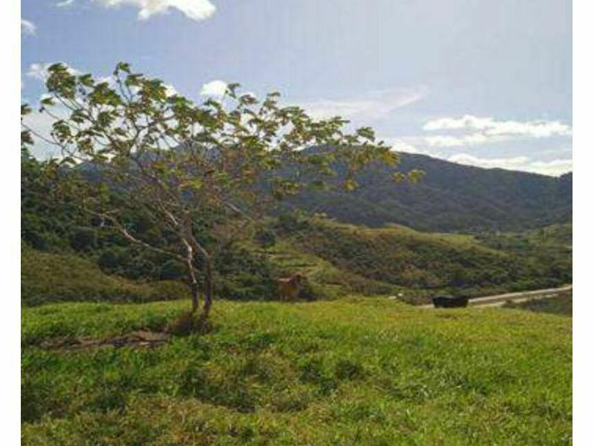 Imagem 12 do Imóvel a venda - Área Rural - Zona Rural - Casimiro de Abreu/RJ
