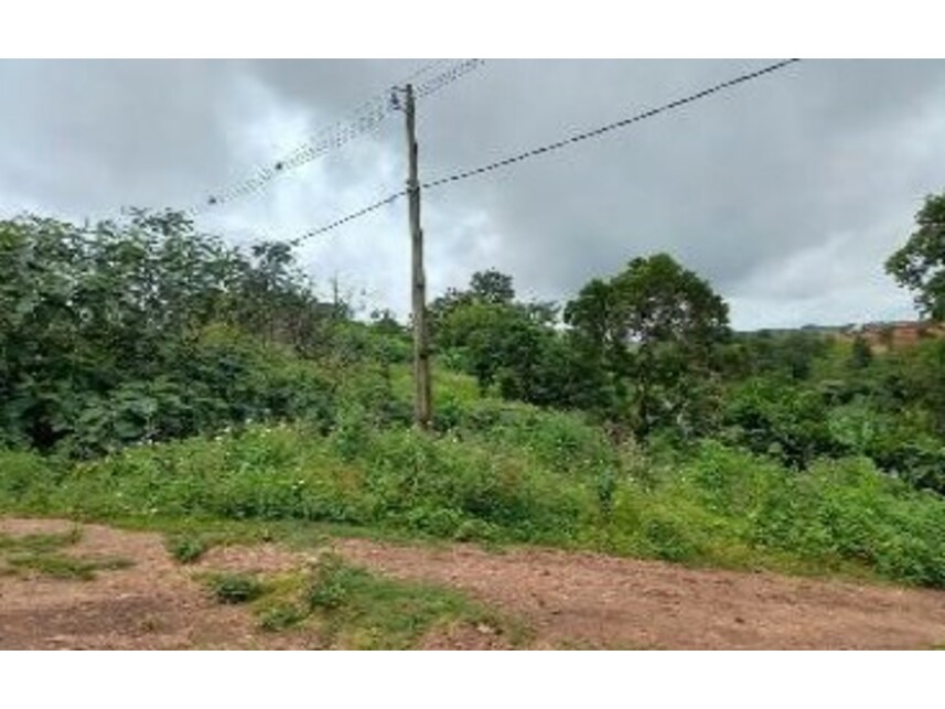 Imagem 7 do Leilão de Terrenos - Jardim das Acácias - Paraíso do Tocantins/TO